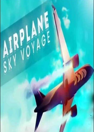 飞机空中航行