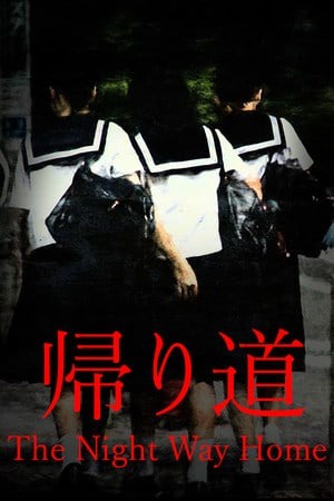 回家的夜路