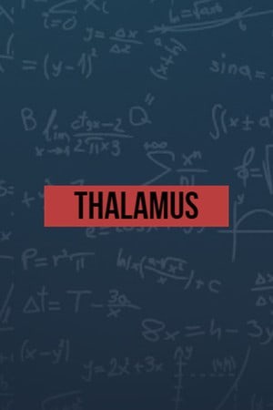 Thalamus